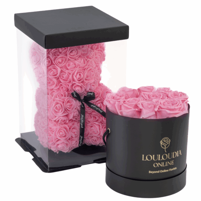Rose Bear Pink Combo of 2