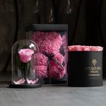 Rose Bear Pink Combo of 3
