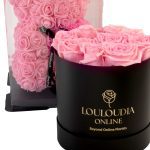 Rose Bear Pink Combo of 3