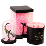 Rose Bear Pink Combo of 3
